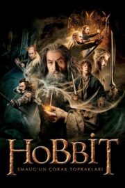 Hobbit 2 Smaug’un Çorak Toprakları 2013