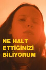 Ne Halt Ettiğinizi Biliyorum 2025