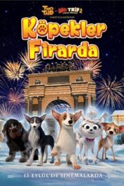 Köpekler Firarda 2023
