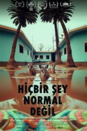 Hiçbir Şey Normal Değil 2024