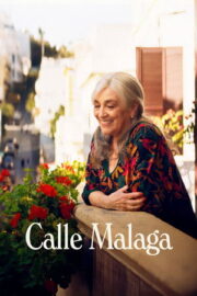 Calle Malaga 2025