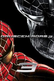Örümcek Adam 3 2007