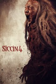 Siccîn 4 2017