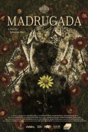 Madrugada 2026
