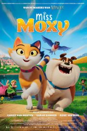 Cesur Kedi Moxy 2025