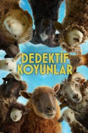 Dedektif Koyunlar 2026